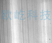 脉理检测1.png